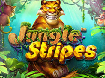 Jngle Stripes