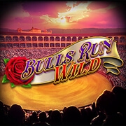 Bulls Run Wild