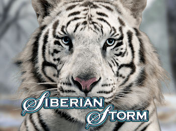 Siberian Storm