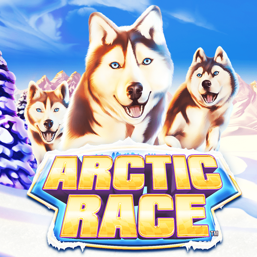Arctic Race